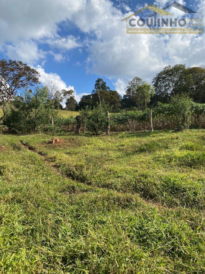 WhatsApp Image 2025-06-11 at 15.41.43 (1).jpeg